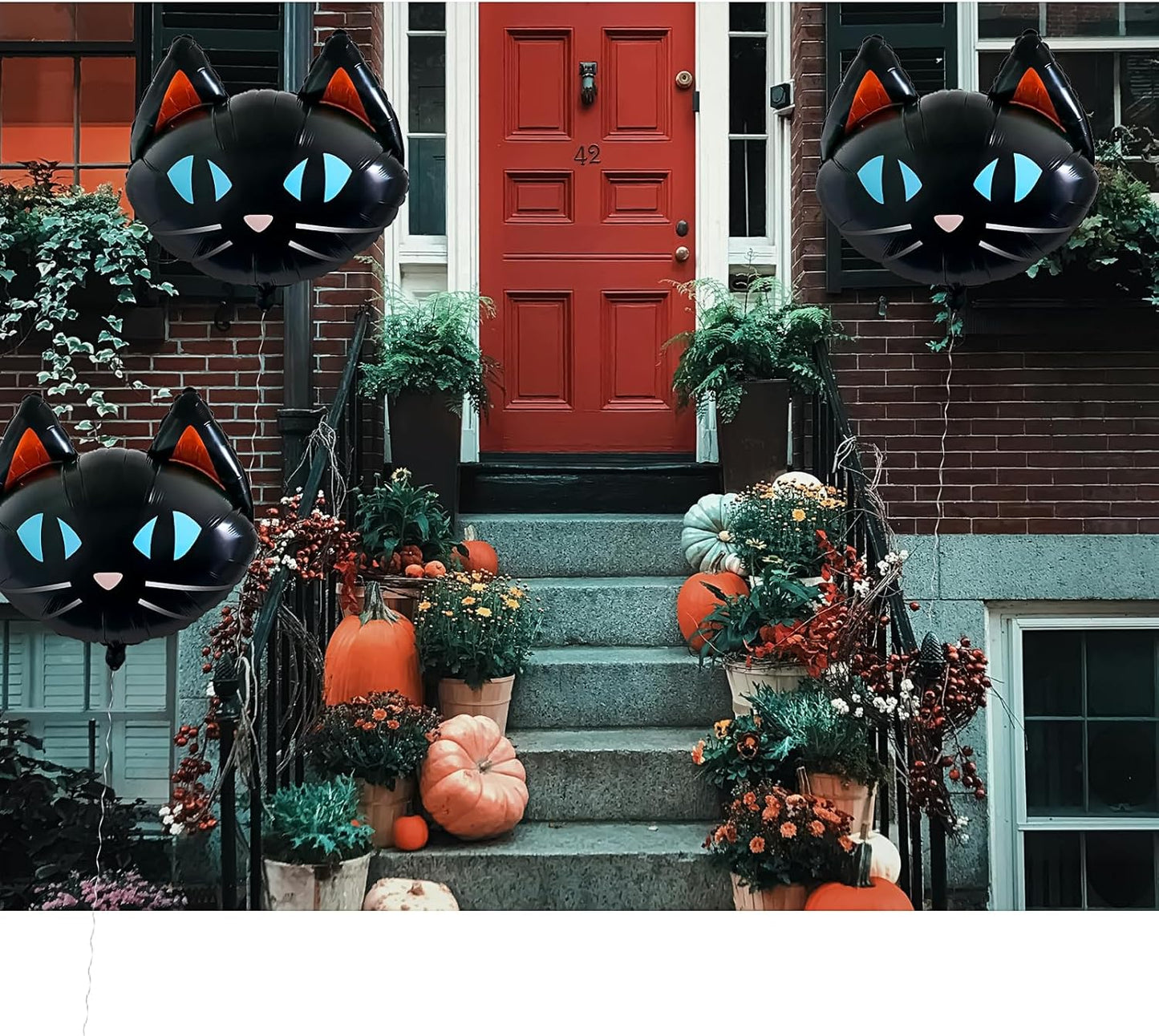 BLACK CAT HEAD