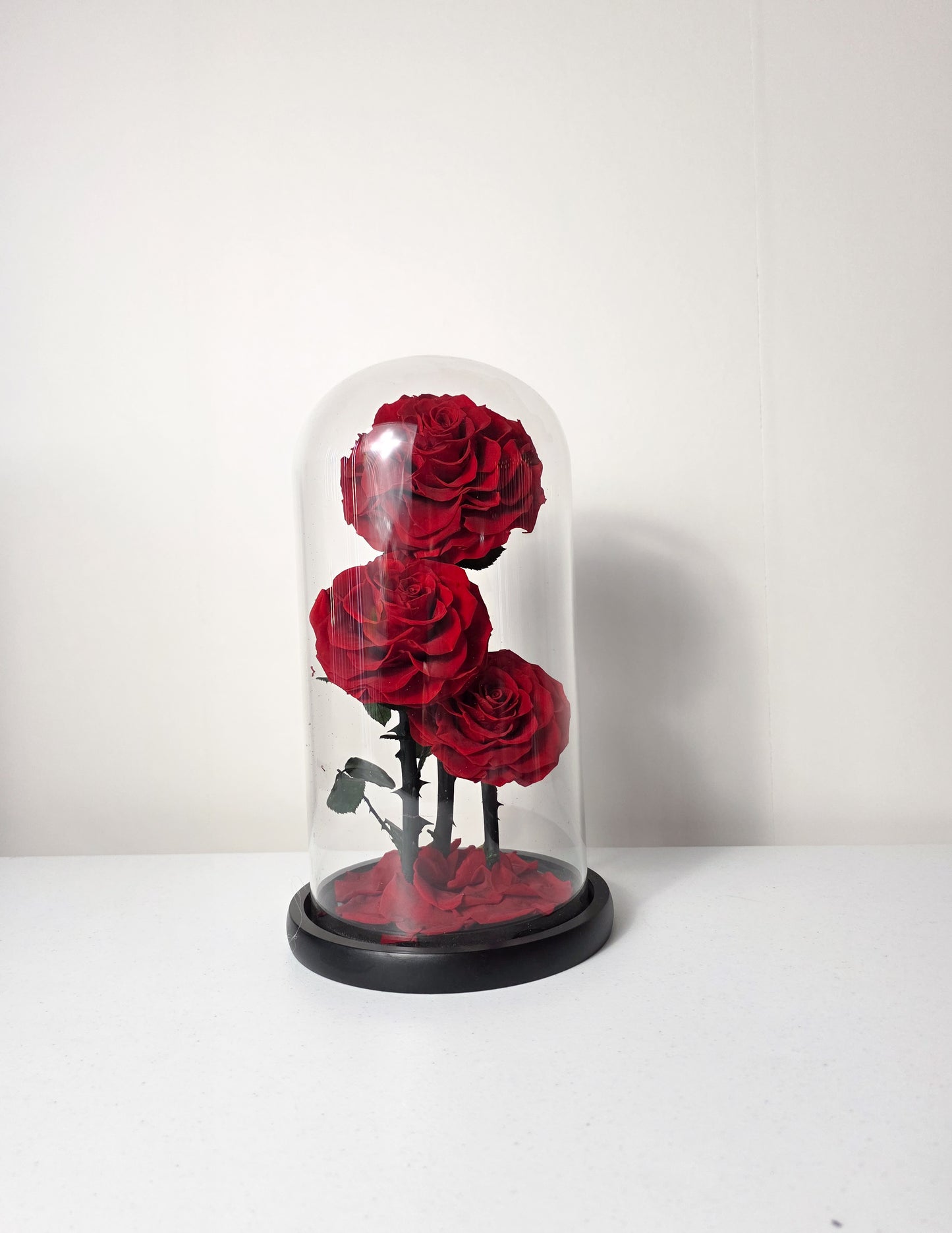 Trio Bloom Preserved Roses