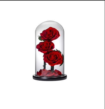 Trio Bloom Preserved Roses