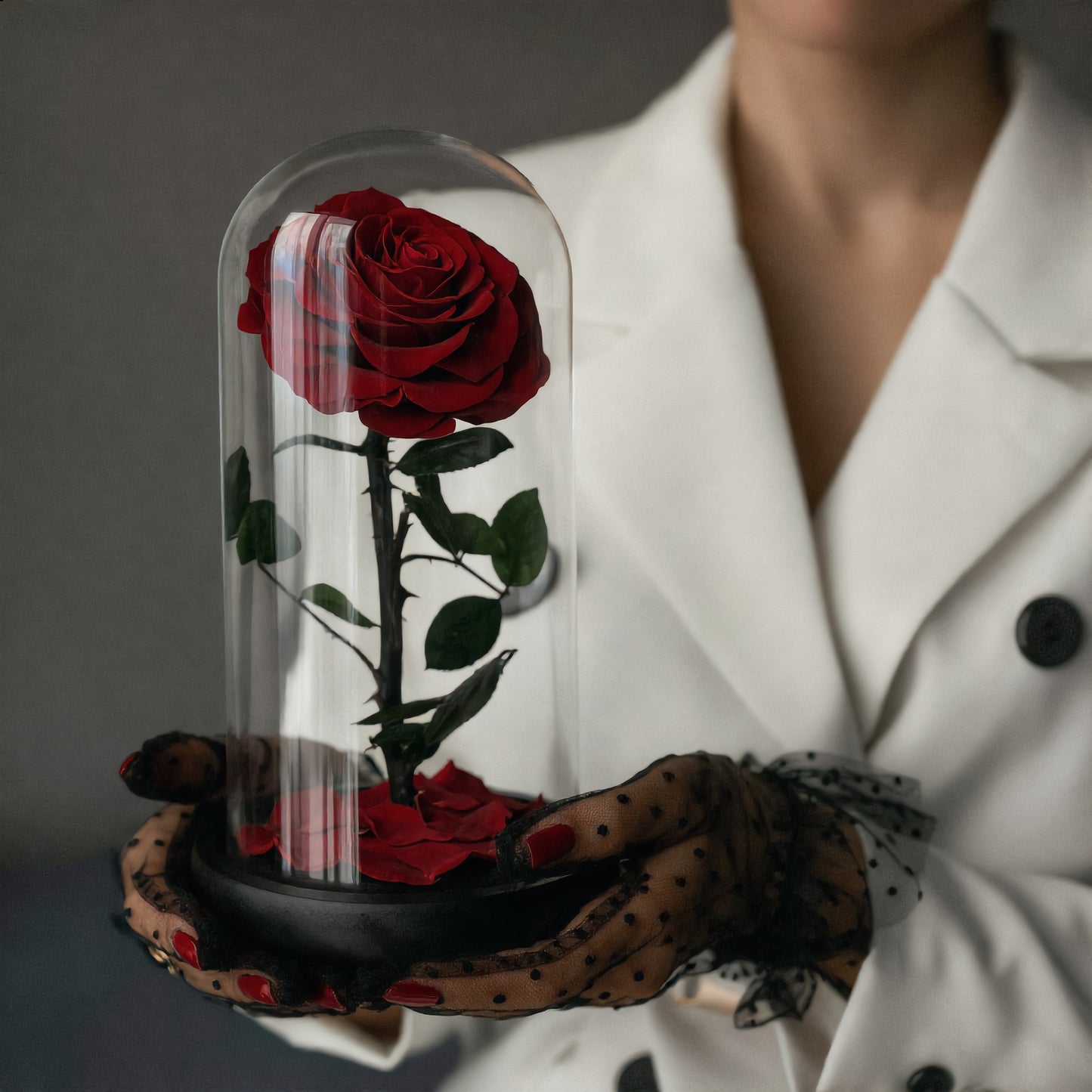 The Little Prince 1 Bud