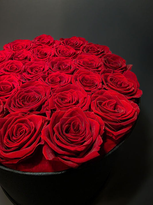 Preserved Rose 25 Buds