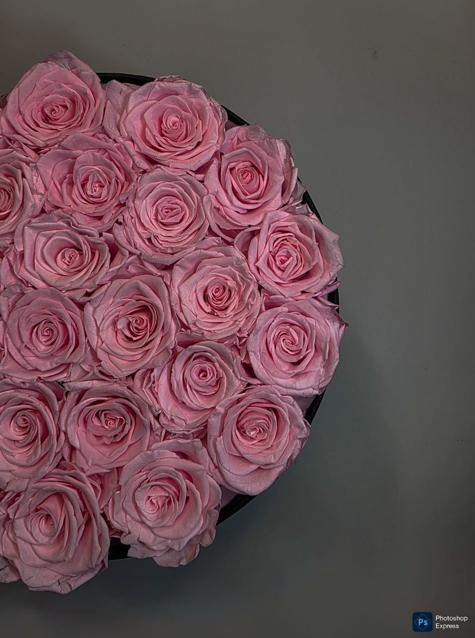 Preserved Rose 25 Buds